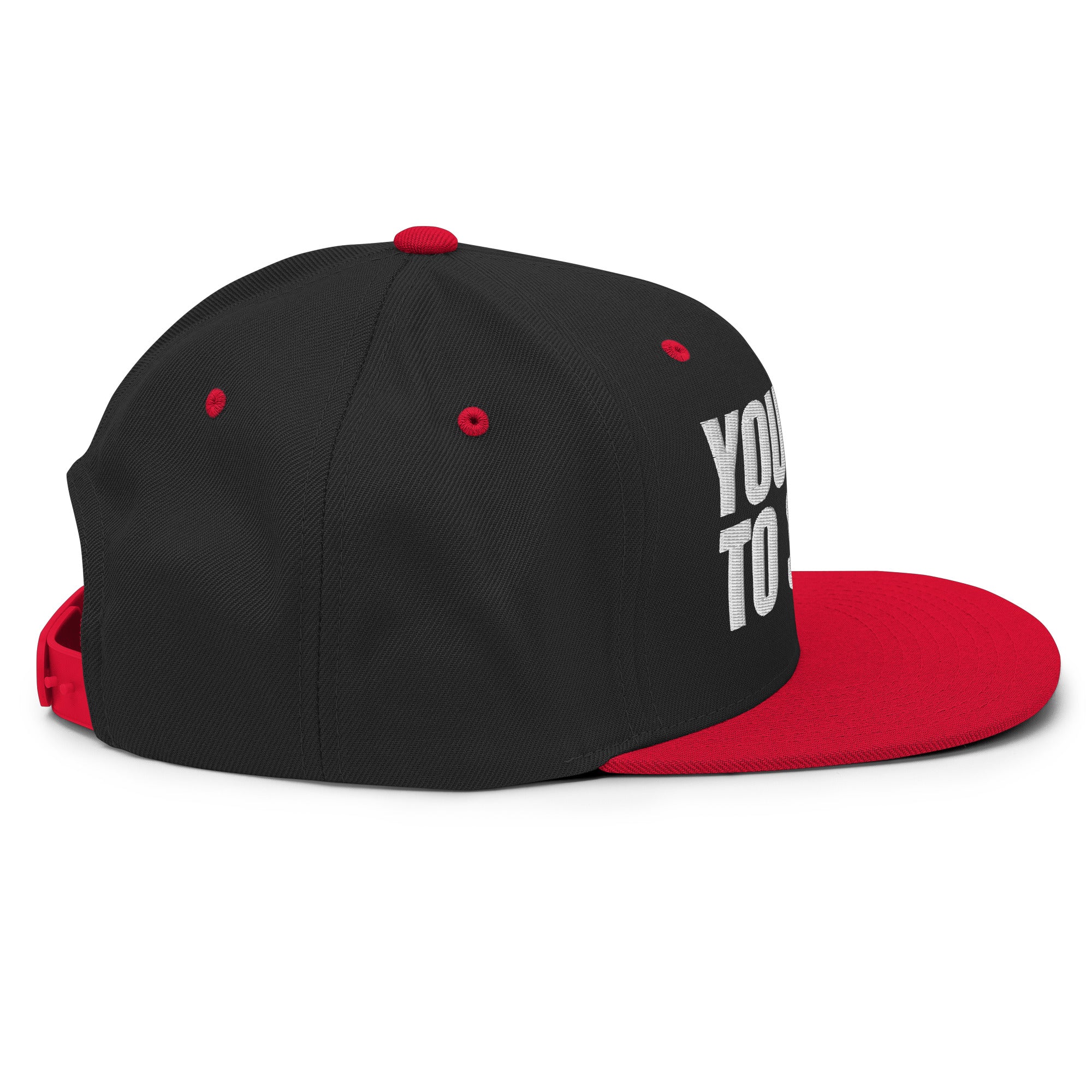 You Hate To See It flat billed | Snapback