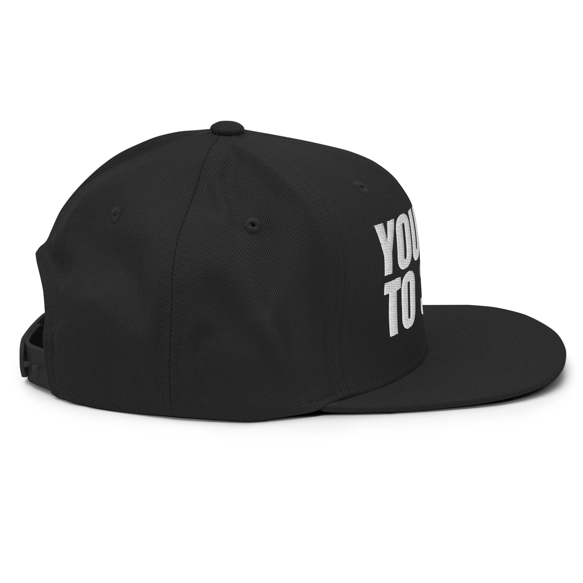 You Hate To See It flat billed | Snapback