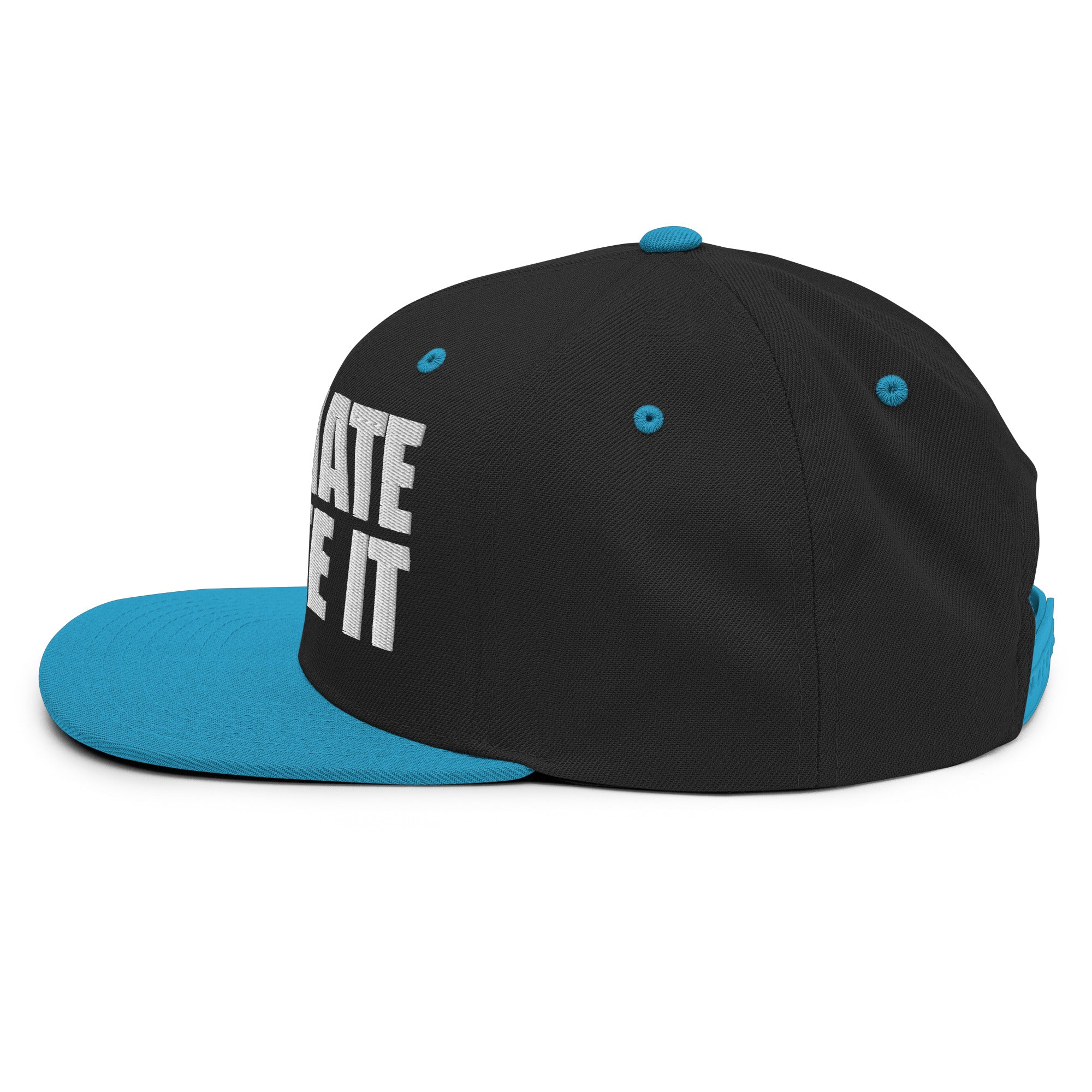 You Hate To See It flat billed | Snapback