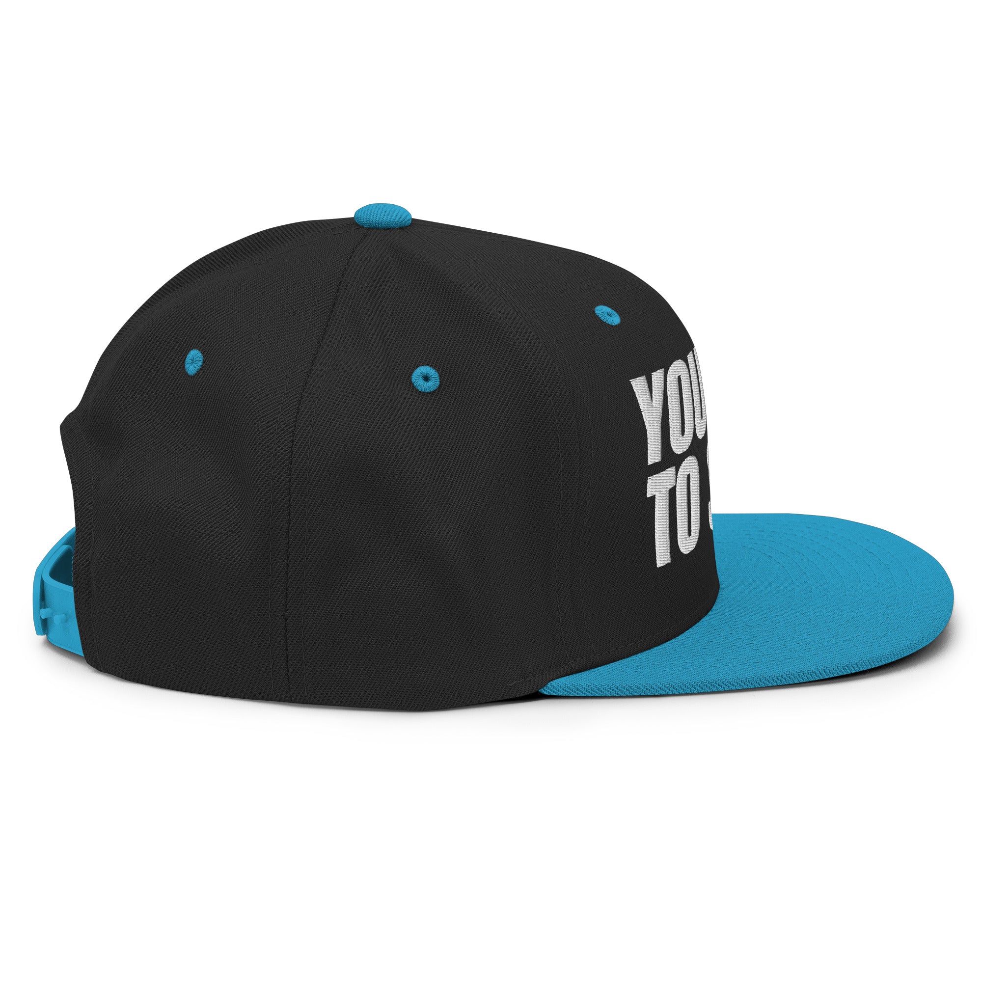You Hate To See It flat billed | Snapback